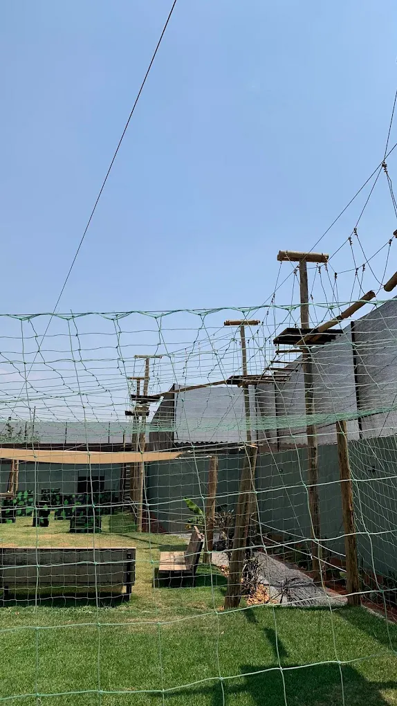 Aventura Park – Casa de festa infantil